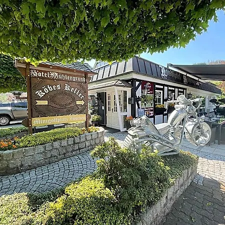 מלון Land-hotel Muehlengrund ווינטרברג