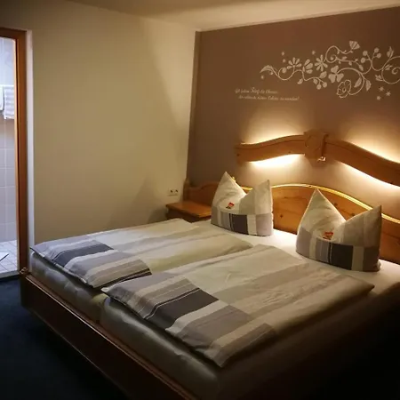 Hotell Land-hotel Muehlengrund Winterberg